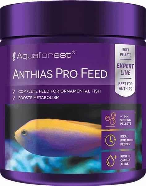 AF, ANTHIAS PRO FEED 120G