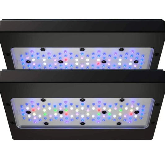 Ecotech, radion xr30g6 blue led